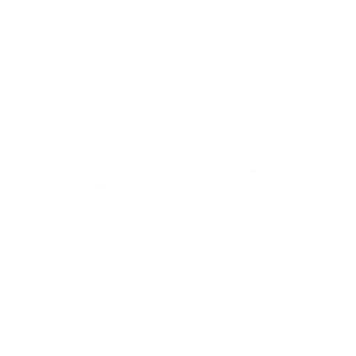 icon progaming dev development service